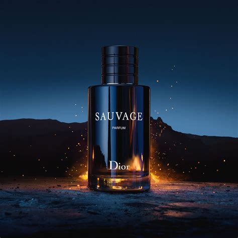 dior sales sauvage|dior sauvage aftershave cheapest price.